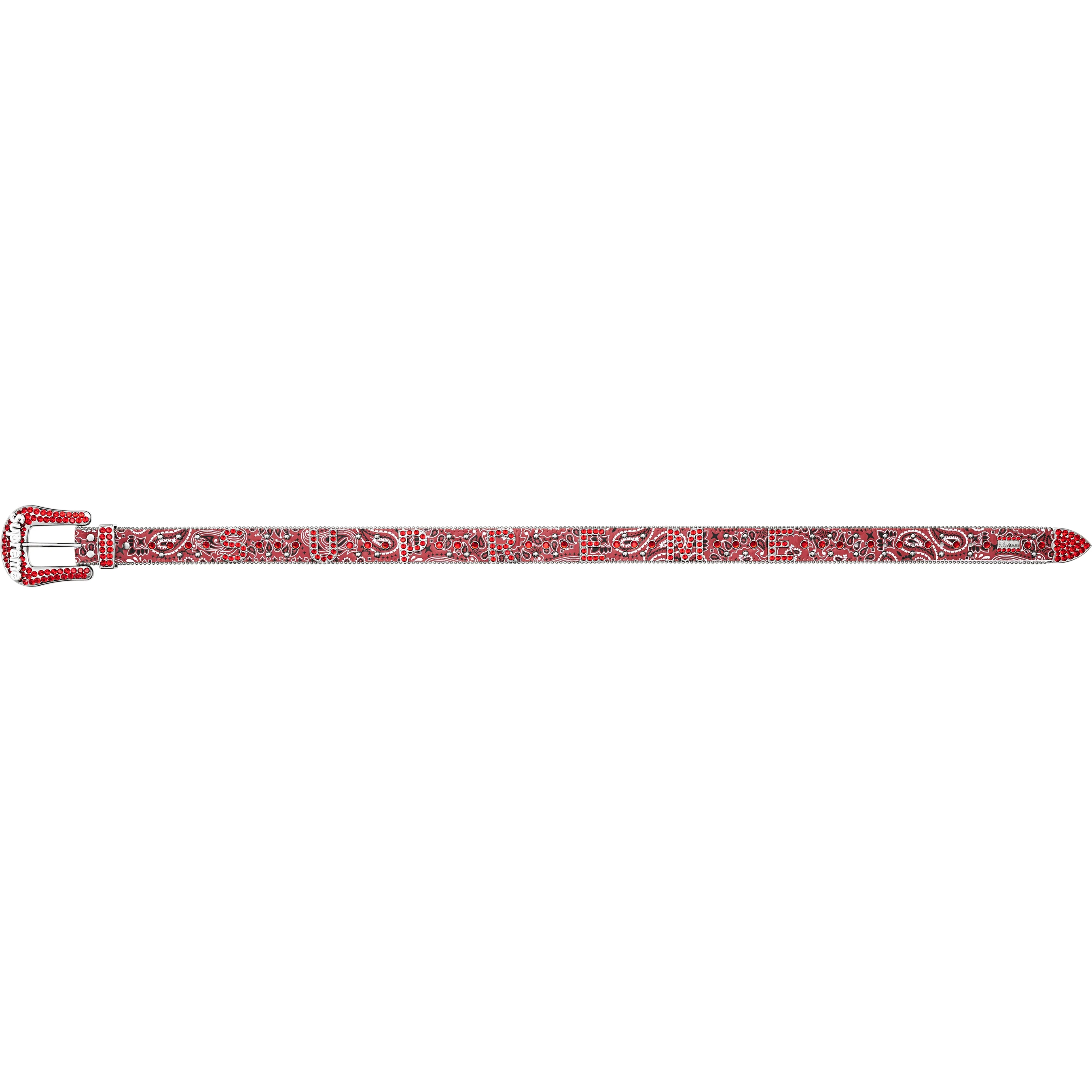 Supreme®/b.b. Simon® Bandana Belt view 7
